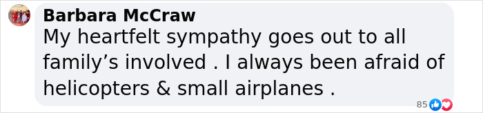 Comment expressing sympathy and fear of helicopters in Hudson River crash context. Comment expressing sympathy and fear of helicopters in Hudson River crash context.