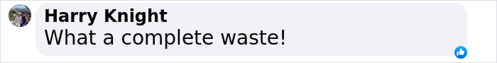 Comment by Harry Knight saying, 'What a complete waste!' regarding a Blue Origin space trip. Comment by Harry Knight saying, 'What a complete waste!' regarding a Blue Origin space trip.