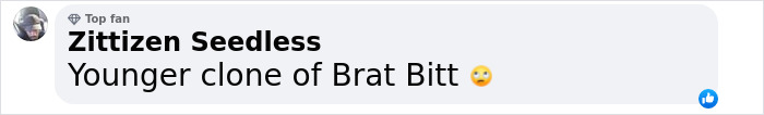 Comment text with playful wordplay about a celebrity look-alike, implying resemblance to a famous actor. Comment text with playful wordplay about a celebrity look-alike, implying resemblance to a famous actor.