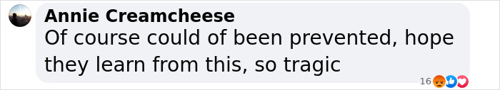 Comment expressing sadness over tragic mirror accident involving a parenting influencer's son. Comment expressing sadness over tragic mirror accident involving a parenting influencer's son.