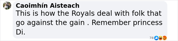Comment on royal family dealing with dissenters, referencing Princess Diana. Comment on royal family dealing with dissenters, referencing Princess Diana.