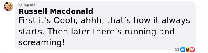 Fan comment referencing dire wolves and ethical debate from Game of Thrones. Fan comment referencing dire wolves and ethical debate from Game of Thrones.