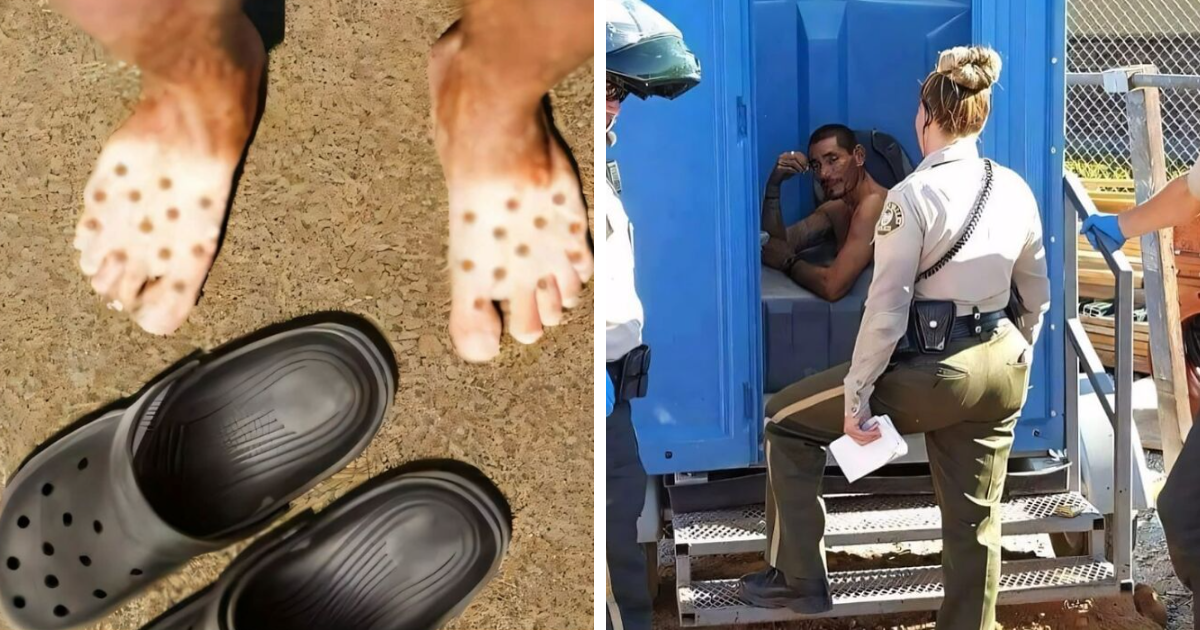 30 Random Images That Don’t Need To Make Sense To Be Funny | Bored Panda