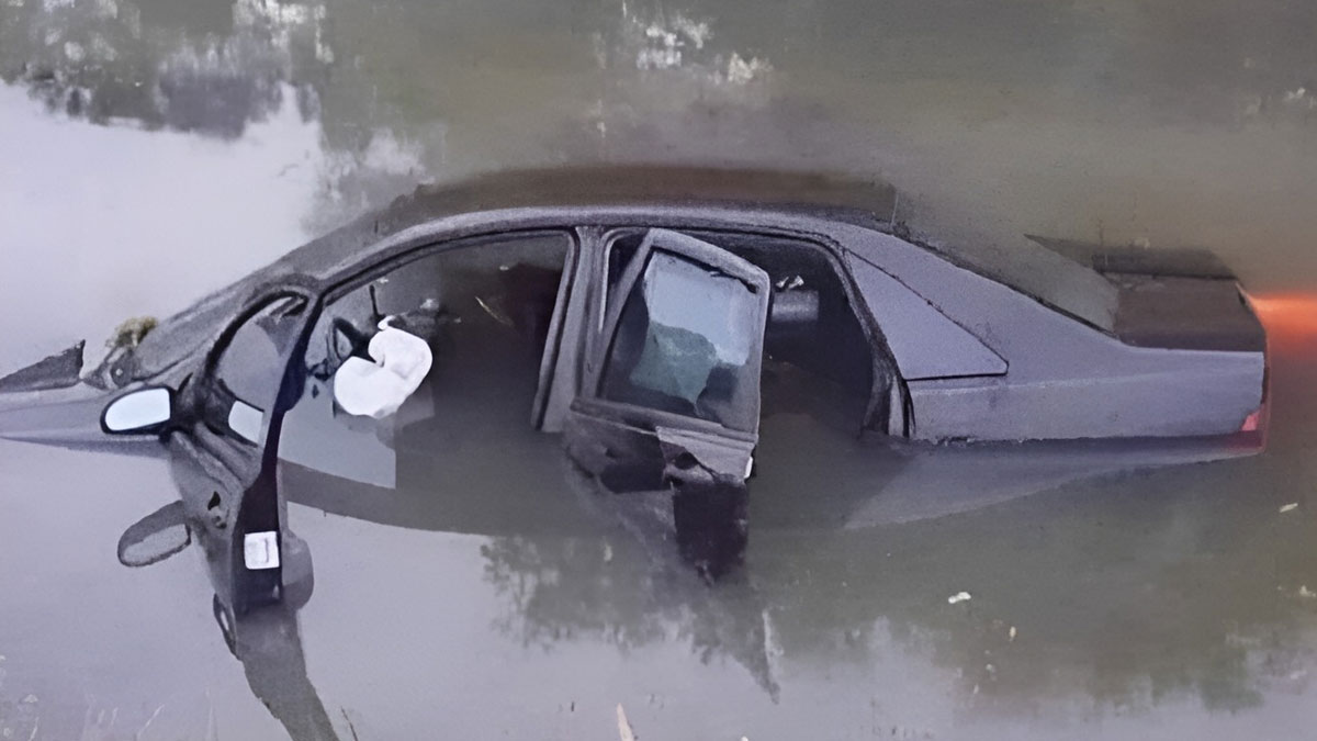 50 Random And Relatable Memes That Might Make You Laugh (New Pics)