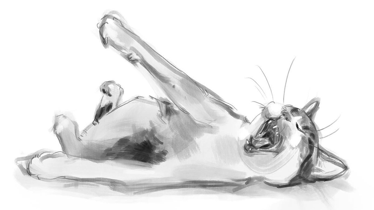 19 Minimalist Sketches By Jinodae That Capture The Essence Of Cats