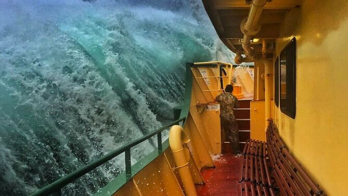 50 Unexpected Ocean Moments That Might Freak You Out