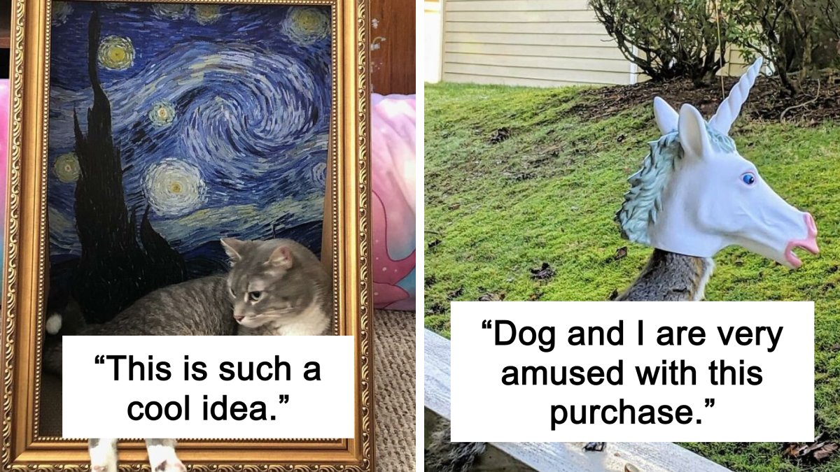 Living The Laugh Track Life With These 25 Actually Hilarious Items
