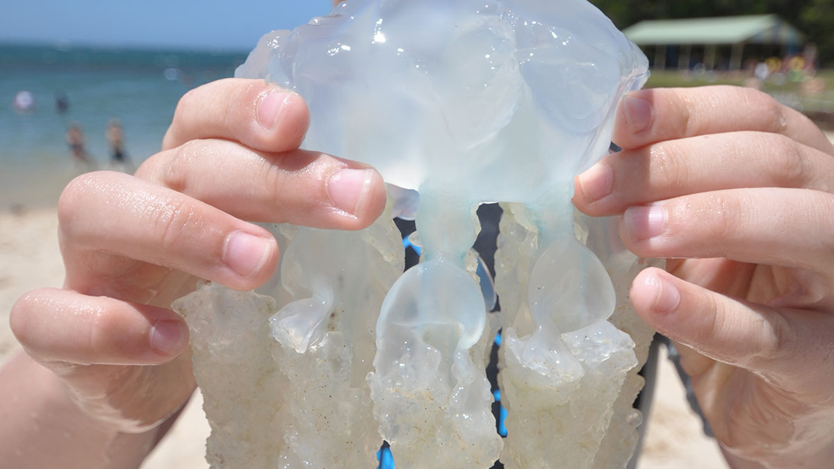 30 Times People Ignored A Simple “Don’t” And Immediately Regretted It