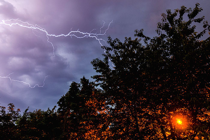 44 Facts That Might Actually Save Your Life One Day