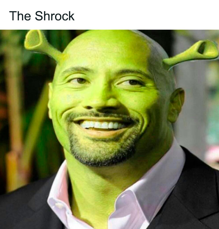 A The Rock meme featuring a large chicken with Dwayne "The Rock" Johnson sitting on its back. The Rock is dressed in athletic wear, smiling confidently. The text above reads, "You’ve heard of Elf on the Shelf. Now get ready for," implying a humorous twist as The Rock is placed on a chicken, playing on the popular rhyme format of the "Elf on the Shelf" meme.