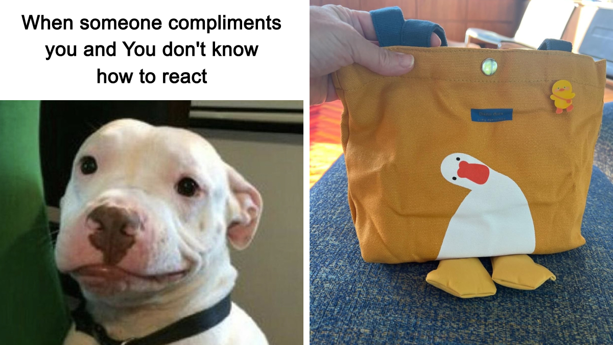 Your Friends Will Be Taking Notes On These 23 Show-Stopping Finds