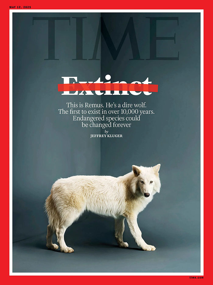 Dire wolf featured on magazine cover, sparking ethical debate about species resurrection. Dire wolf featured on magazine cover, sparking ethical debate about species resurrection.