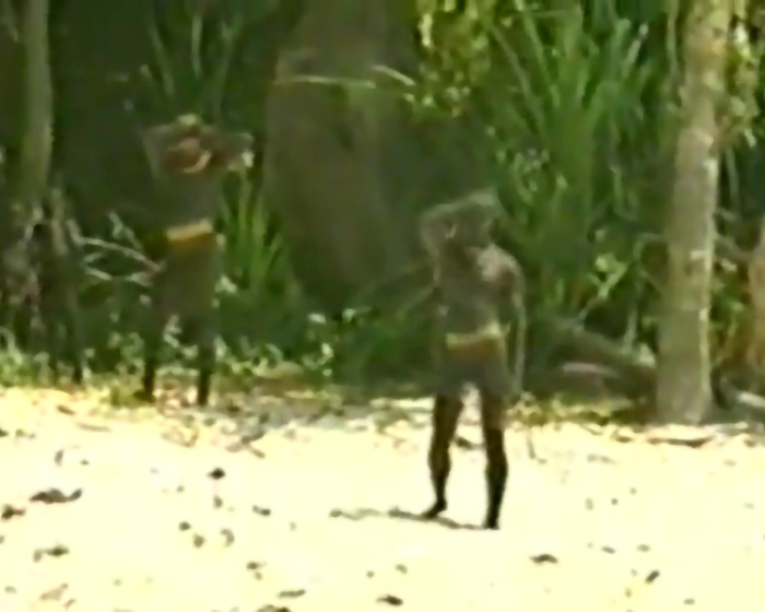 Two isolated tribe members on a sandy beach, surrounded by dense vegetation. Two isolated tribe members on a sandy beach, surrounded by dense vegetation.