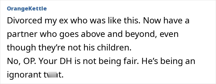 Comment discussing parenting roles and fairness, mentioning a partner who supports children not biologically his. Comment discussing parenting roles and fairness, mentioning a partner who supports children not biologically his.