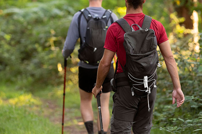 Two men hiking in the forest, carrying backpacks and walking sticks, enjoying outdoor activities. Two men hiking in the forest, carrying backpacks and walking sticks, enjoying outdoor activities.