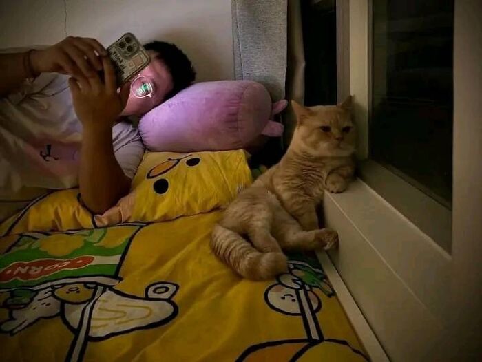 Person lying on a bed with cartoon-themed bedding, holding a phone while a relaxed cat looks out the window nearby.