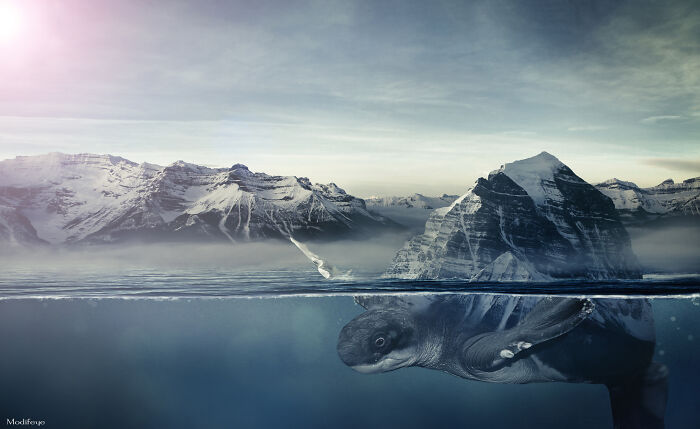 Surreal photo manipulation of a turtle underwater blending with snowy mountain landscapes and a soft glowing sky above.