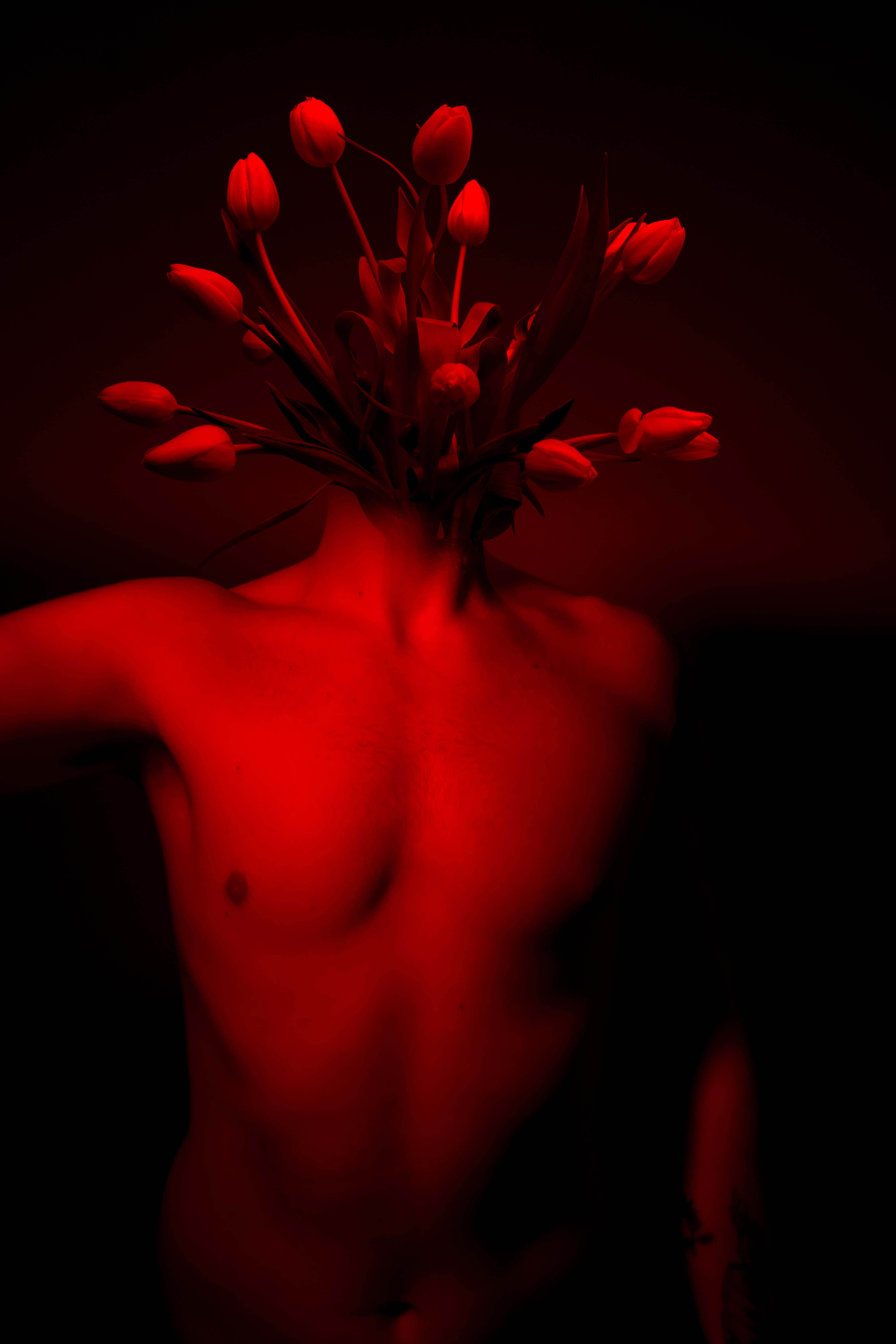 Surreal photograph of a shirtless person with tulips growing where the head should be in dramatic red lighting.