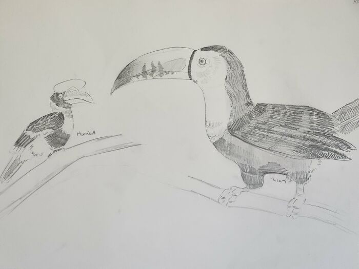 Here's My Bird Portrait Collection That I Drew (12 Pics)