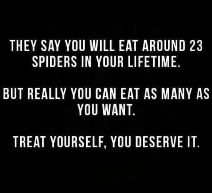 Funny meme text about eating spiders, shared for daily laughs to improve your day and brighten the mood.