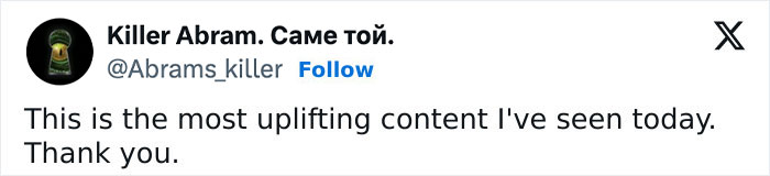 Internet Falls In Love With Ukrainian Storks Caught In A Relationship Scandal Internet Falls In Love With Ukrainian Storks Caught In A Relationship Scandal