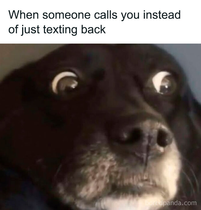 Close-up of a black dog with wide eyes expressing shock, featured in hilariously sarcastic memes about awkward social moments.