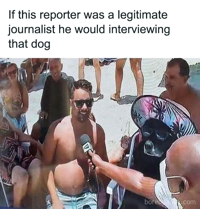 Man on beach being interviewed with microphone while dog wearing hat sits next to him in sarcastic meme format