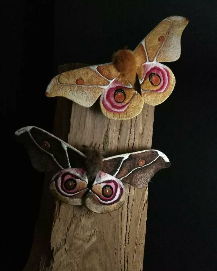 Two detailed embroidered fiber moths with vibrant patterns perched on a rustic wooden surface against a dark background