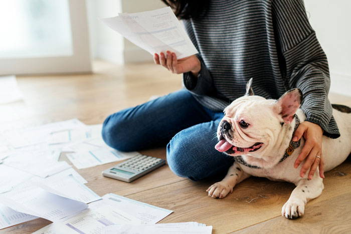 Person sitting on floor with dog reviewing documents and calculator, symbolizing spouse secret financial concerns after marriage.
