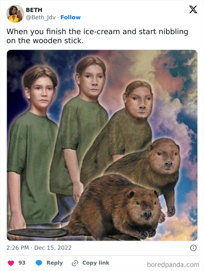 Alt text: A humorous meme showing a boy slowly transforming into a beaver, capturing relatable human experience in meme form.