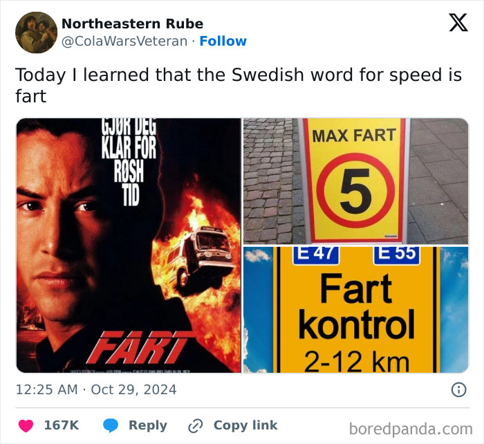 Meme collage with humorous signs and a movie poster featuring the word fart, illustrating chaotic memes for boredom relief.