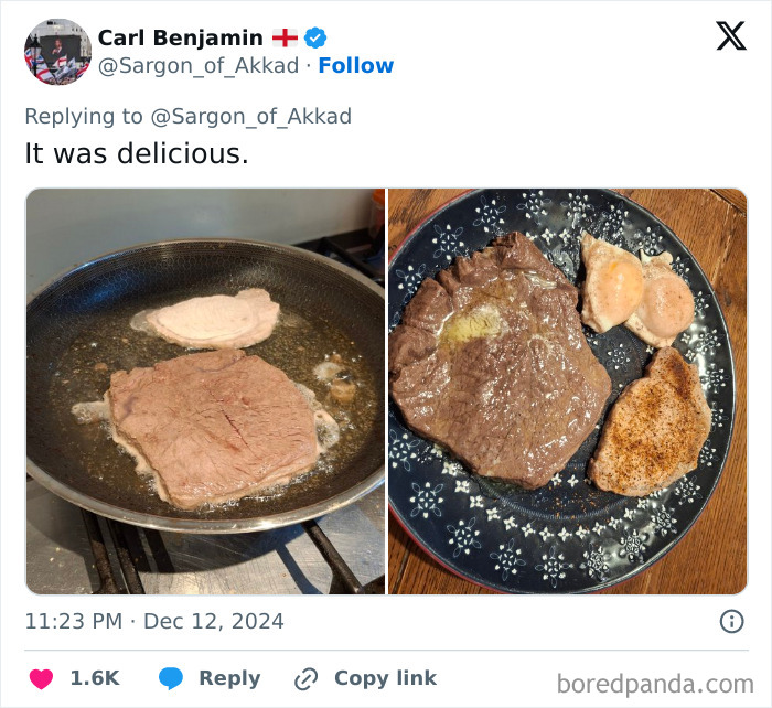 Cooking fail showing poorly cooked meat in a frying pan and on a plate, highlighting hilarious cooking fails and accidents.