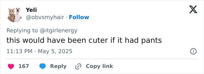 Tweet criticizing Sabrina Carpenter’s pantless outfit at Met Gala 2025, reflecting backlash on her fashion choice. Tweet criticizing Sabrina Carpenter’s pantless outfit at Met Gala 2025, reflecting backlash on her fashion choice.