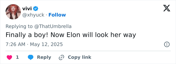 Social media post speculating Elon Musk fathered Amber Heard’s twins amid embryos dispute, with user comment about a boy. Social media post speculating Elon Musk fathered Amber Heard’s twins amid embryos dispute, with user comment about a boy.