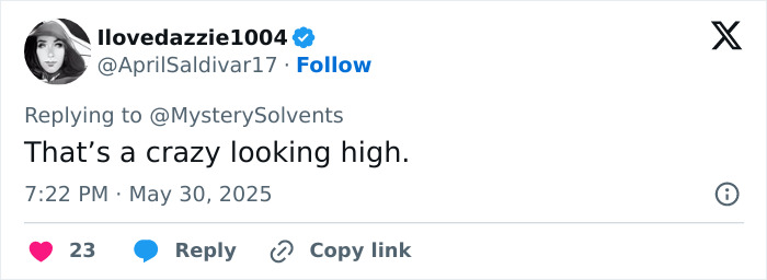 Screenshot of a tweet commenting on Elon Musk appearing with a black eye and head ticks at the White House. Screenshot of a tweet commenting on Elon Musk appearing with a black eye and head ticks at the White House.