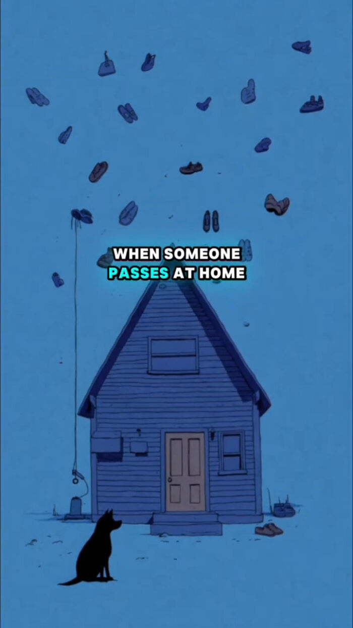 Silhouette of a dog sitting outside a house with floating shoes above, depicting what dogs go through after their human passes.