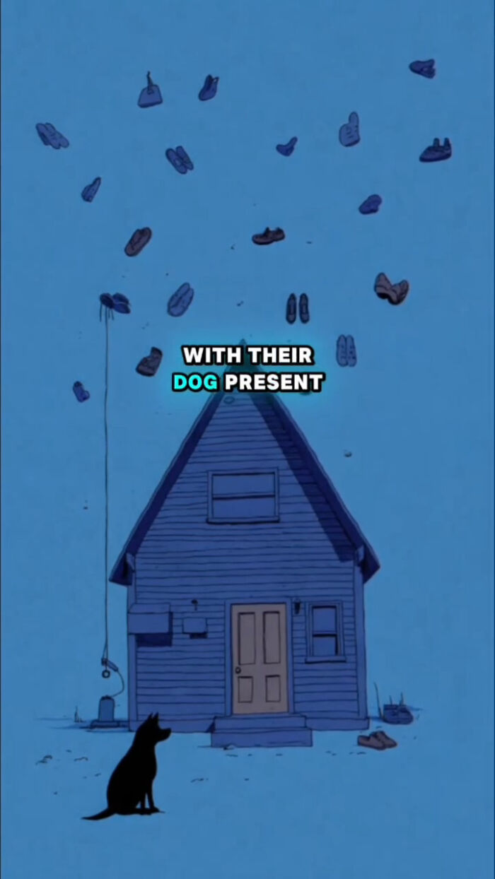 Silhouette of a dog sitting outside a blue house at night, surrounded by floating shoes, highlighting dogs after their human passes.