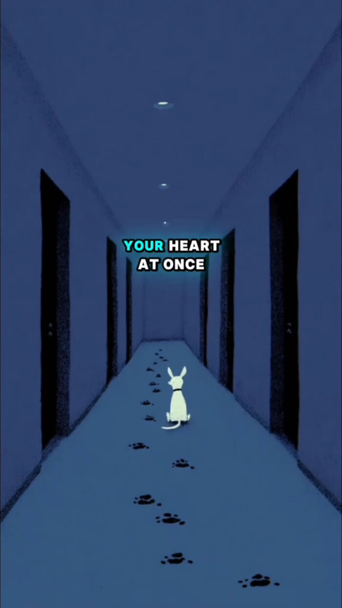 A small dog sitting alone in a dimly lit hallway with paw prints trailing behind, showing dog emotions after loss.