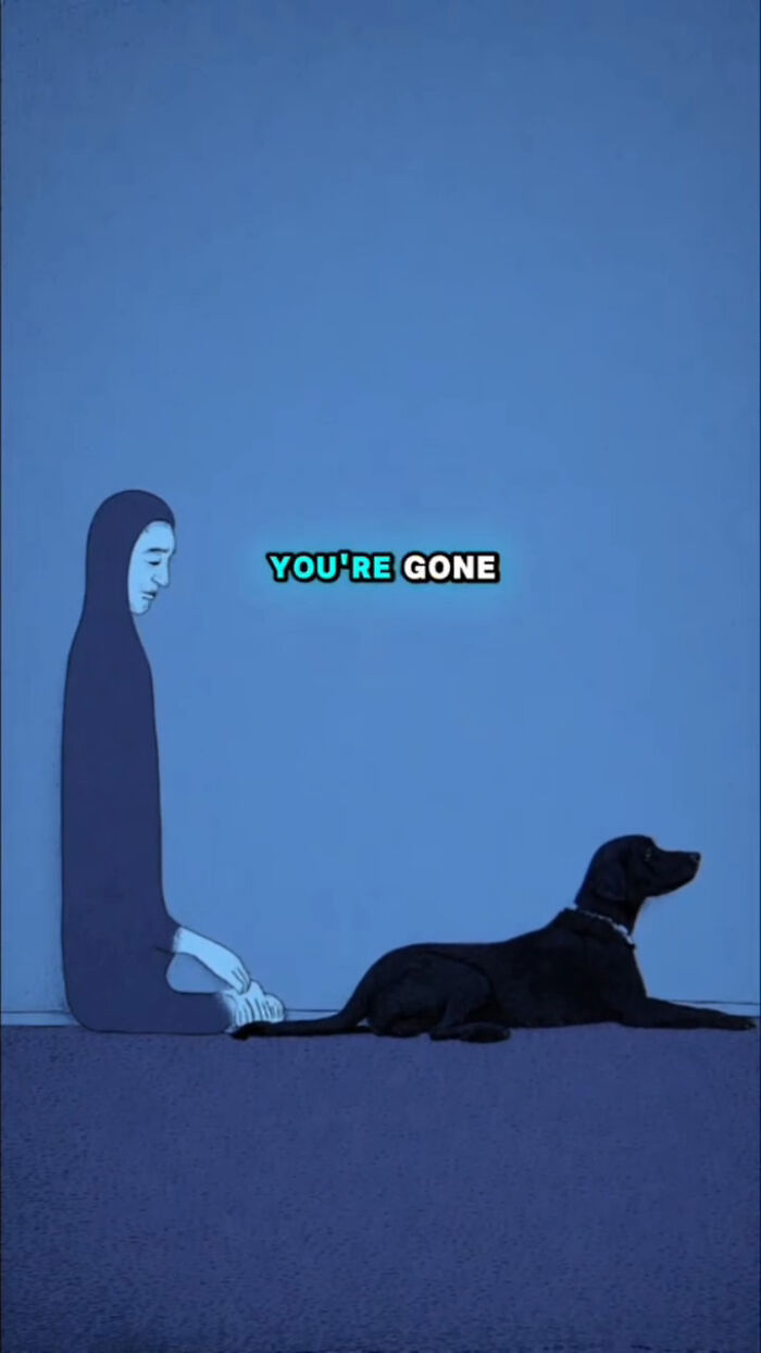 Illustration showing a person and a dog with text highlighting what dogs go through after their human passes.