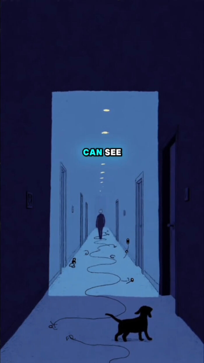 Silhouette of a dog in a dark hallway with a figure walking away, illustrating what dogs go through after their human passes.