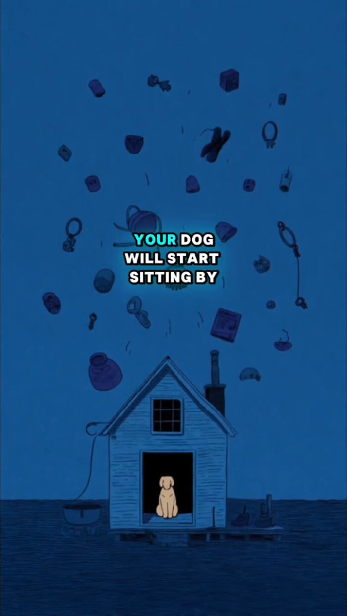 Animated dog sitting in a house at night, illustrating what dogs go through after their human passes.