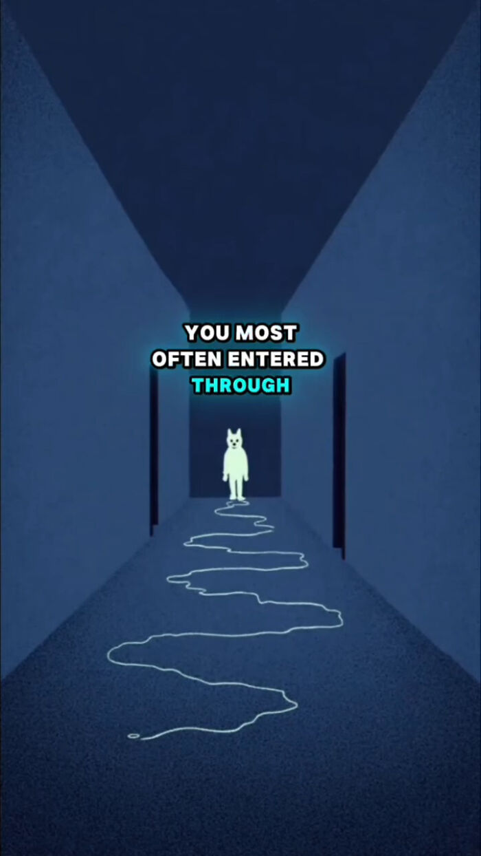 Illustration showing what dogs go through in the 72 hours after their human passes, with a dog standing in a hallway.