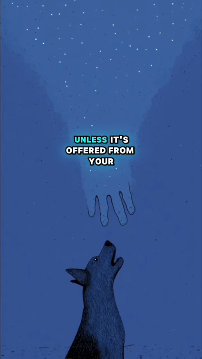 Illustration of a dog looking up at a glowing hand in the night sky depicting what dogs go through after their human passes.