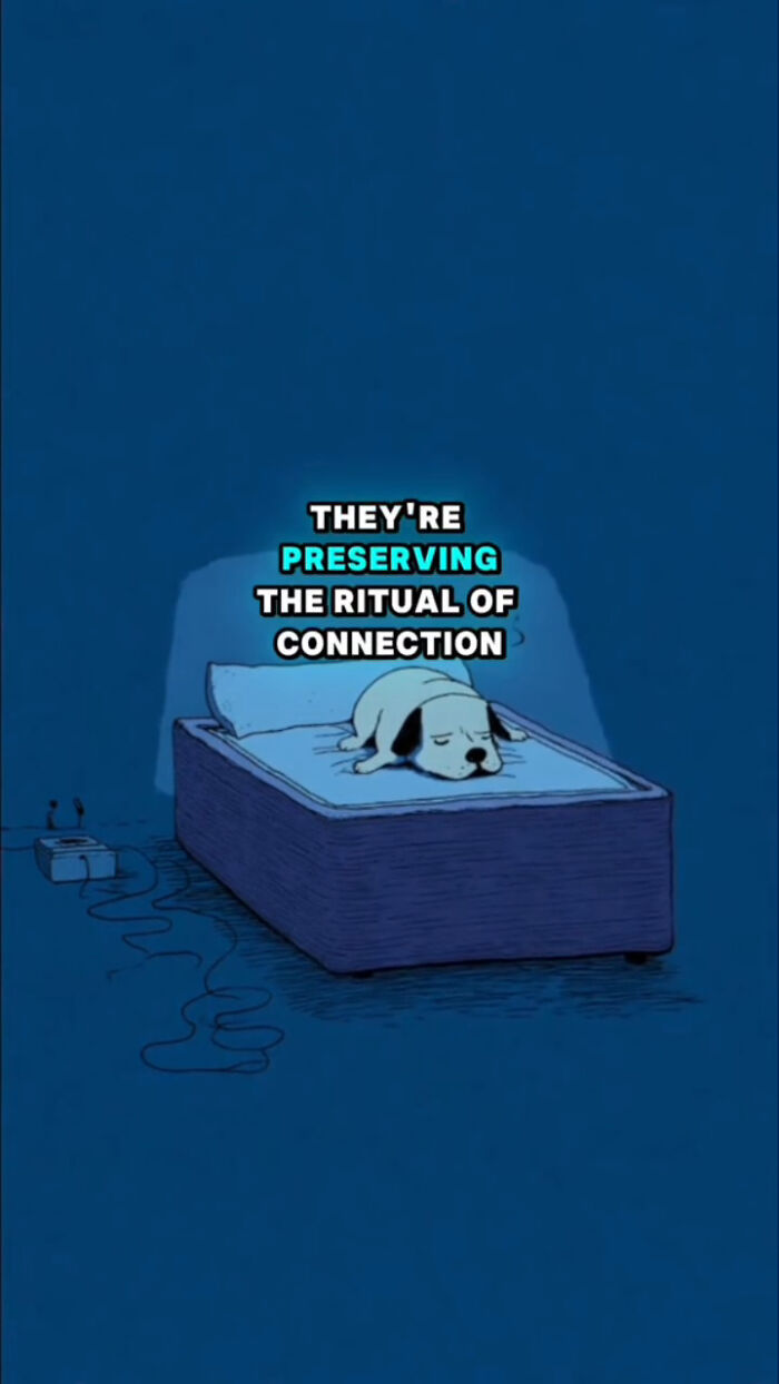 A sad dog lying on a bed at night, illustrating what dogs go through after their human passes away.