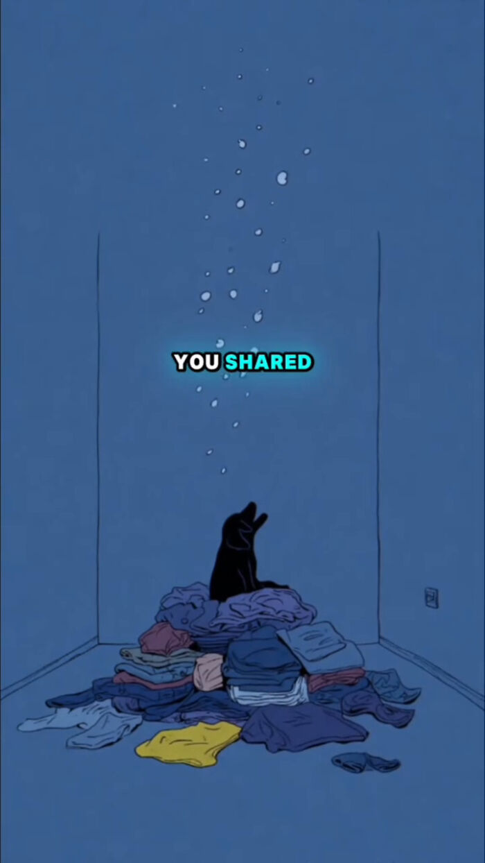 Black dog sitting on a pile of clothes in a blue room, symbolizing what dogs go through after their human passes.