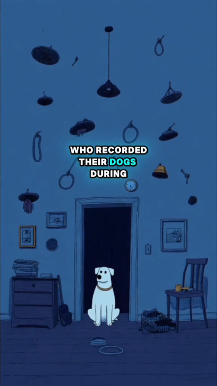 Animated white dog sitting in a dark room with floating objects, illustrating what dogs go through after their human passes.