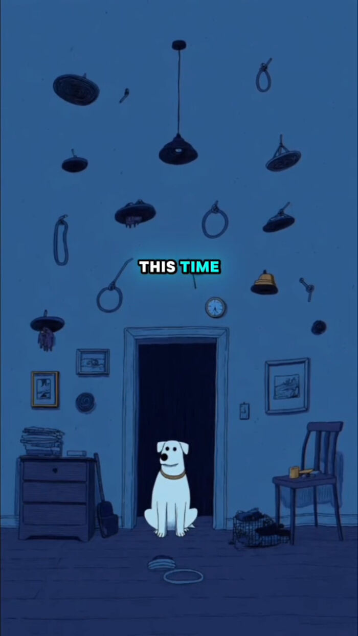 Animated white dog sitting alone in a dark room representing what dogs go through after their human passes.