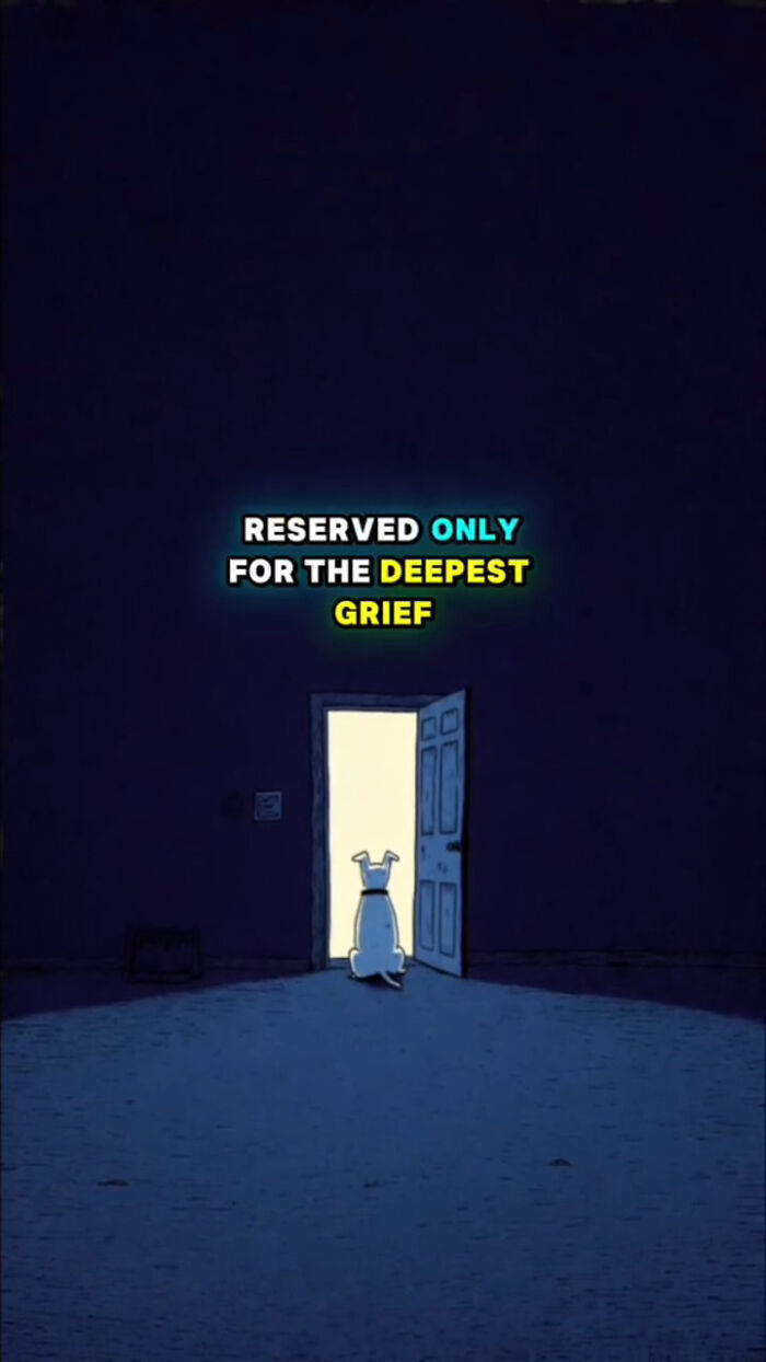 A dog sitting alone in a dark room facing an open door, representing grief dogs experience after their human passes.