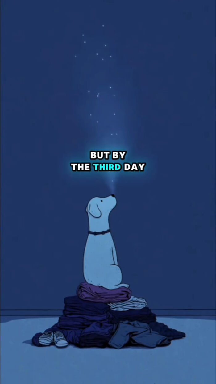 Illustration of a dog sitting on clothes, looking up with text about the third day in the 72 hours after human passes.