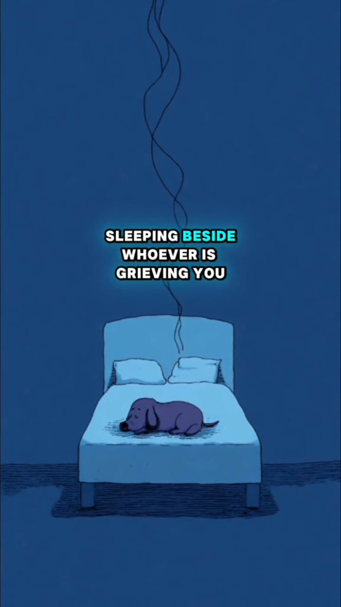 Sleeping dog beside grieving human on bed, illustrating what dogs go through in the 72 hours after their human passes.